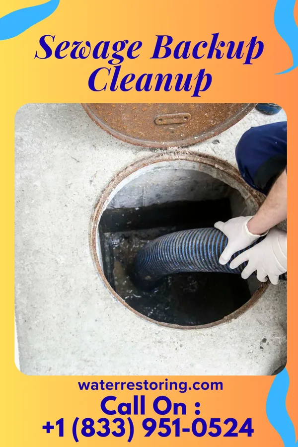 Sewage Backup Cleanup in Closter, NJ