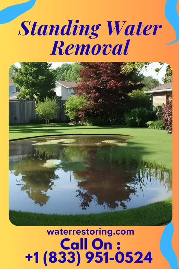 Standing Water Removal in Closter, NJ